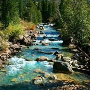 Meet your Posher, Christie